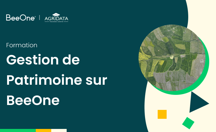 Gestion de Patrimoine sur BeeOne